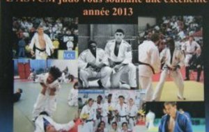 Meilleurs voeux 2013
