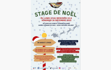 Stage de Noël du 22 au 24 décembre et 26 décembre 2025